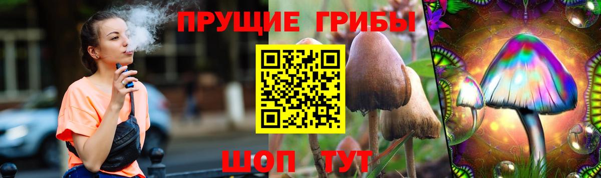 Трёхгорный  наркота  Вход с VPN  Псилоцибиновые грибы Psilocybine cubensis  Галлюциногенные грибы GOLDEN TEACHER 